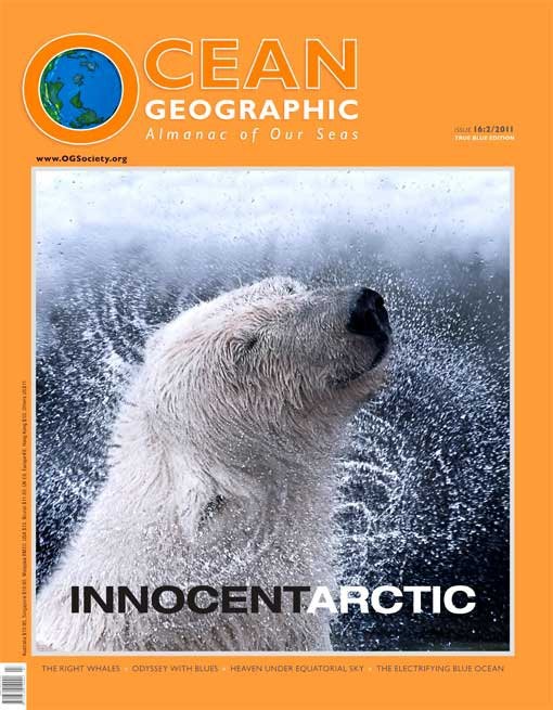 arctic