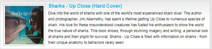 Sharks close up