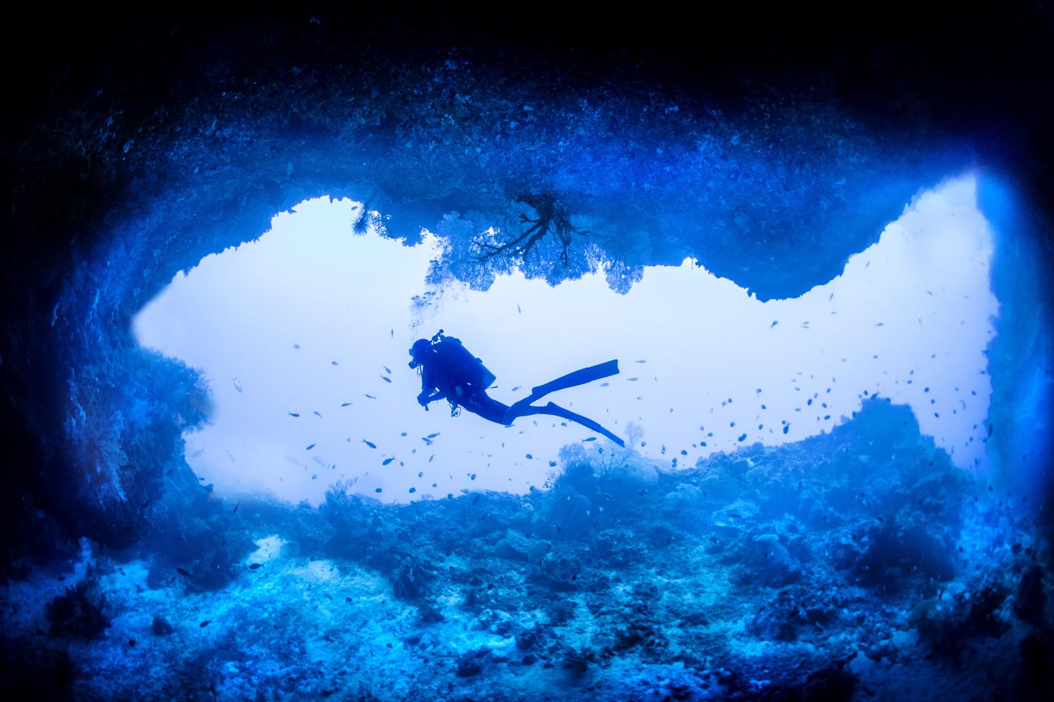 031Palau