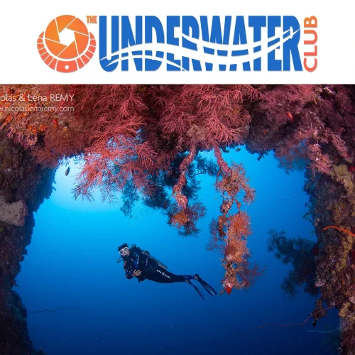 underwater-club